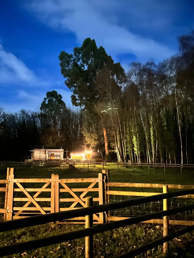 Glamping with Alpacas