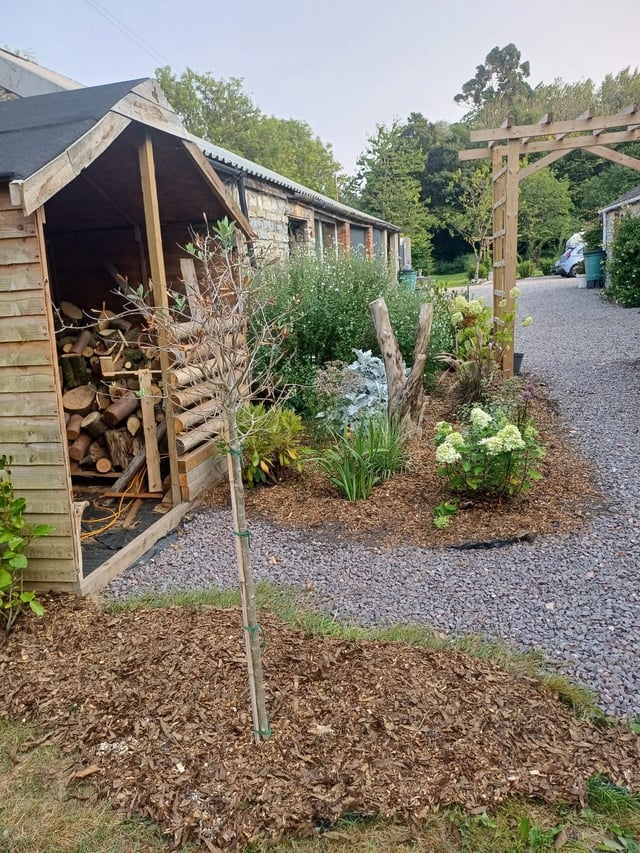 Glamping with Alpacas - Photo 8