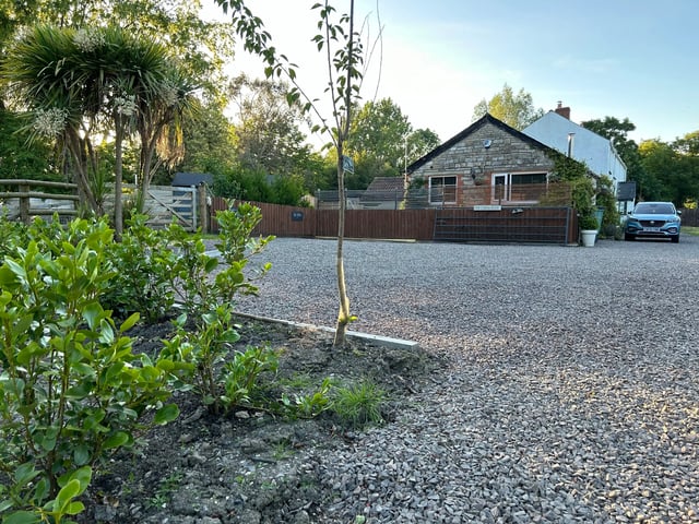 Glamping with Alpacas - Photo 9