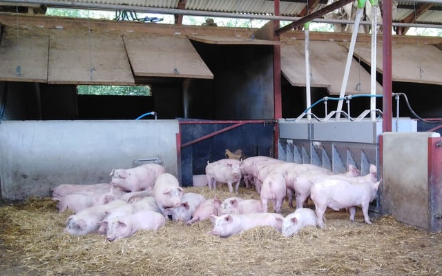 Relaxing Traditional Farmhouse in a West Berkshire Village  - Photo 8