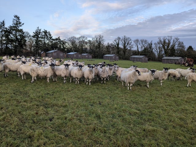 Relaxing Traditional Farmhouse in a West Berkshire Village  - Photo 3