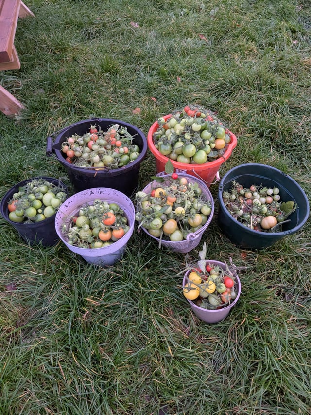 Relaxing Traditional Farmhouse in a West Berkshire Village  - Photo 6