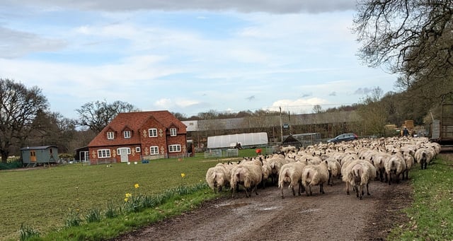 Relaxing Traditional Farmhouse in a West Berkshire Village  - Photo 10