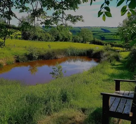 Organic Farm in the Clun Hills - Photo 7