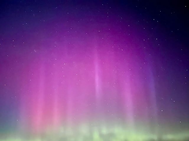 Alpaca and rare breed centre - Photo 4