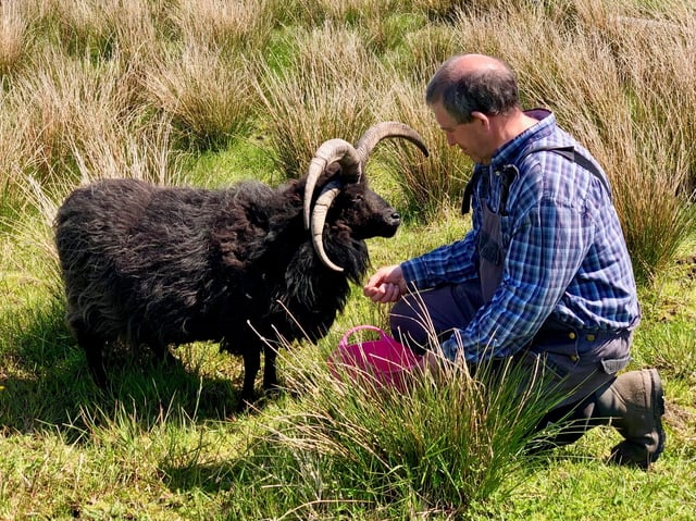 Alpaca and rare breed centre - Photo 9
