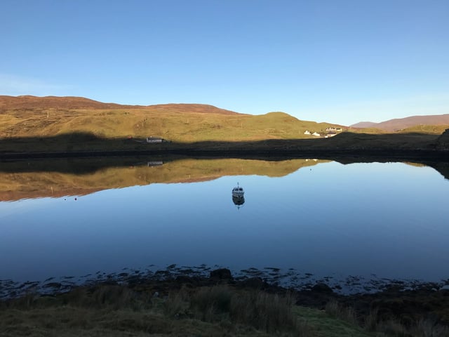Alpaca and rare breed centre - Photo 10