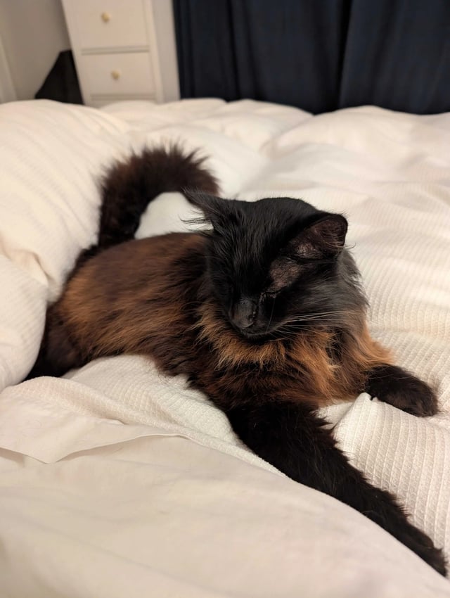 Norwich homestay - Photo 5