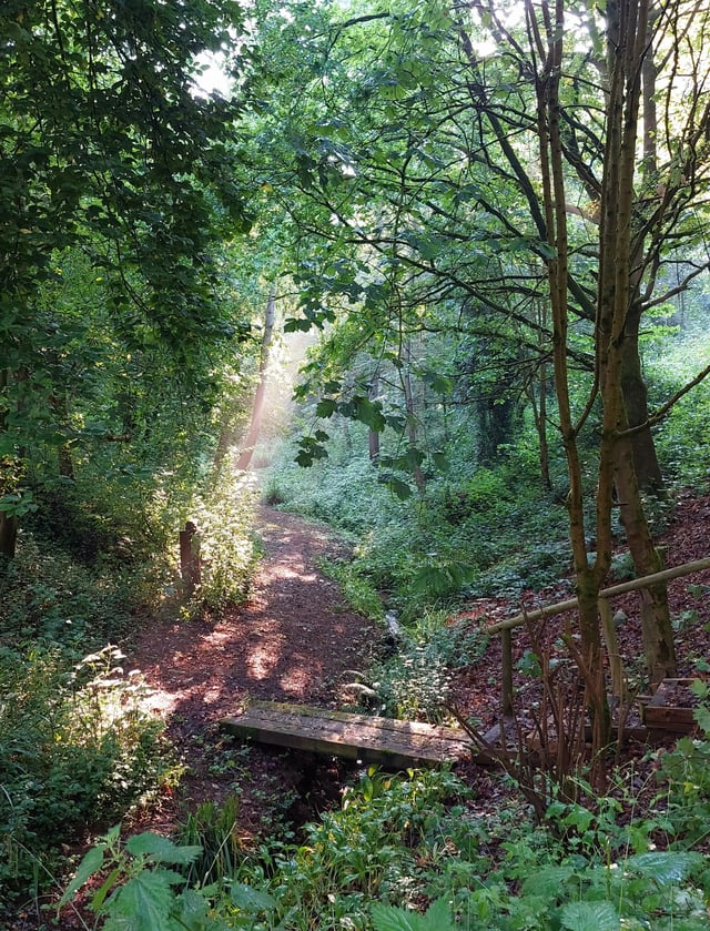 Family vineyard in Northwest Worcestershire  - Photo 9
